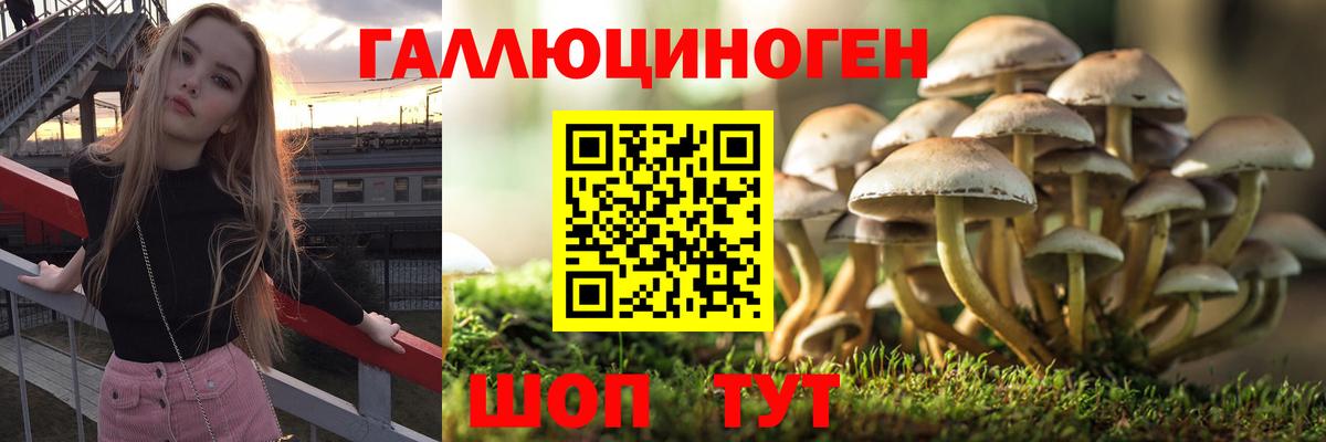 дарнет шоп  Галлюциногенные грибы прущие грибы  Вход с VPN  Бахчисарай 
