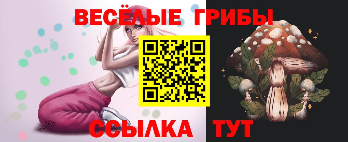 Псилоцибиновые грибы ЛСД Бахчисарай